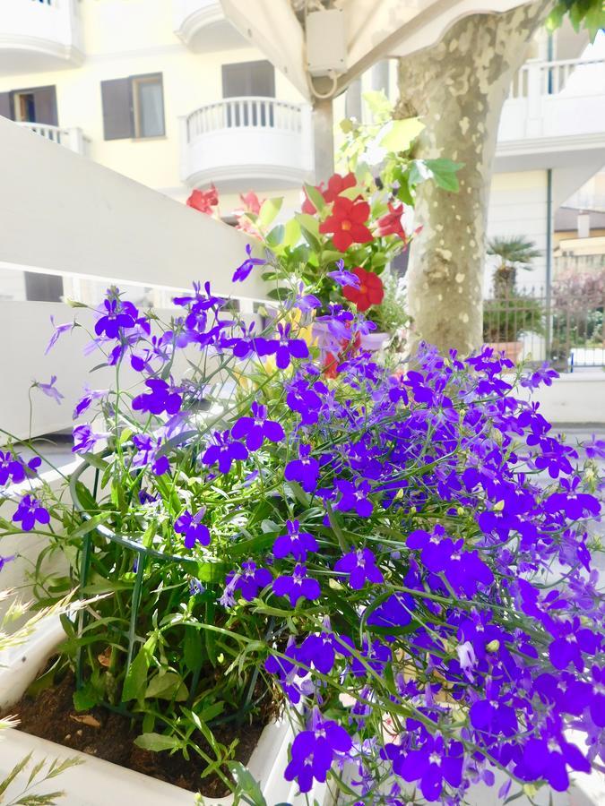 Hotel Dolores ริมินี ภายนอก รูปภาพ