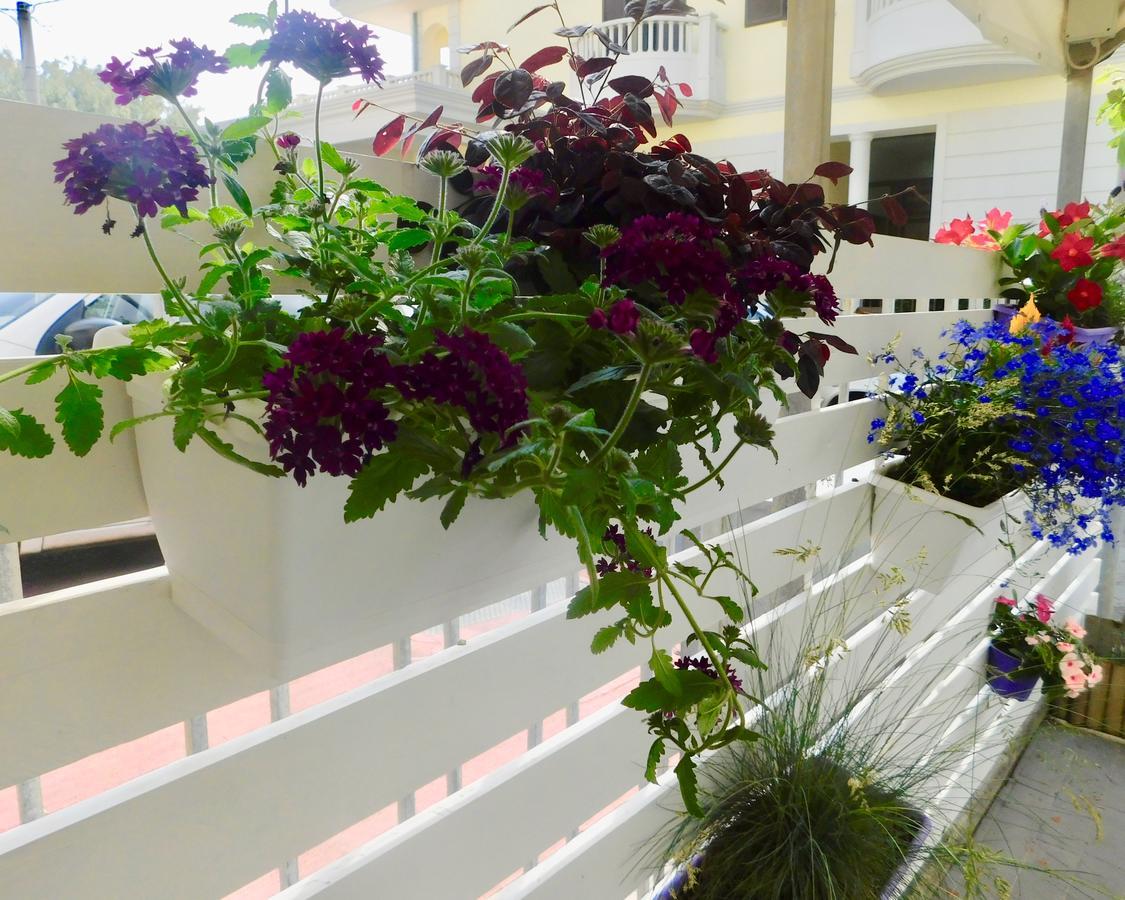 Hotel Dolores ริมินี ภายนอก รูปภาพ